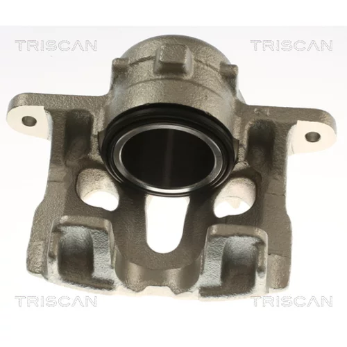 Brzdový strmeň TRISCAN 8175 29146