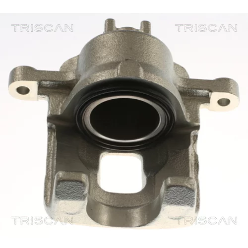 Brzdový strmeň TRISCAN 8175 42205