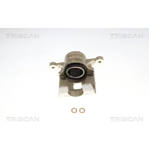 Brzdový strmeň TRISCAN 8175 69118