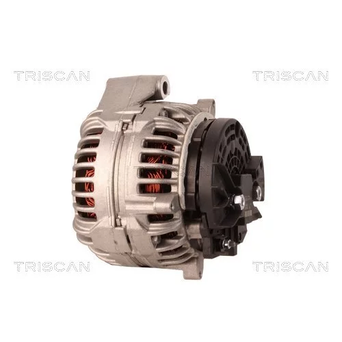 Alternátor 8310 10067 /TRISCAN/ - obr. 7