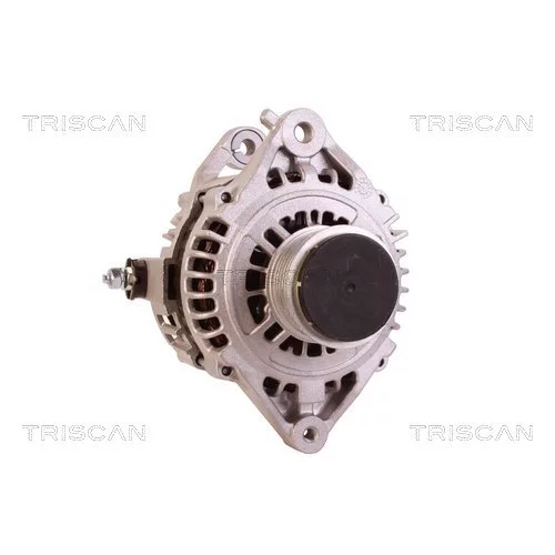 Alternátor 8310 10109 /TRISCAN/ - obr. 4