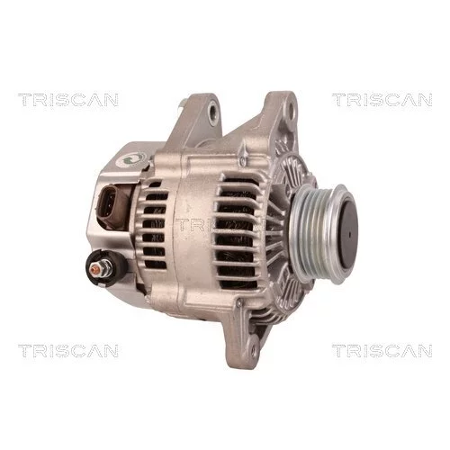 Alternátor 8310 10131 /TRISCAN/ - obr. 3