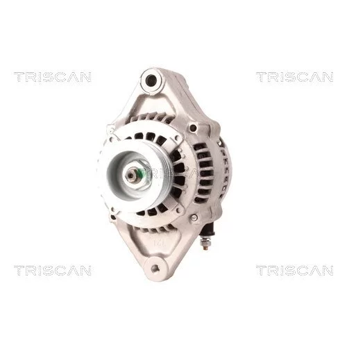 Alternátor 8310 10137 /TRISCAN/ - obr. 5