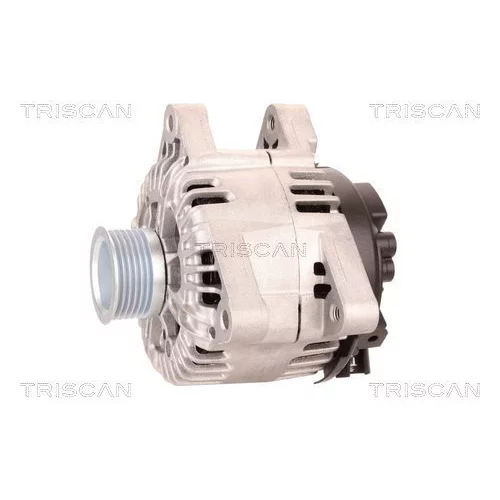 Alternátor 8310 10156 /TRISCAN/ - obr. 6