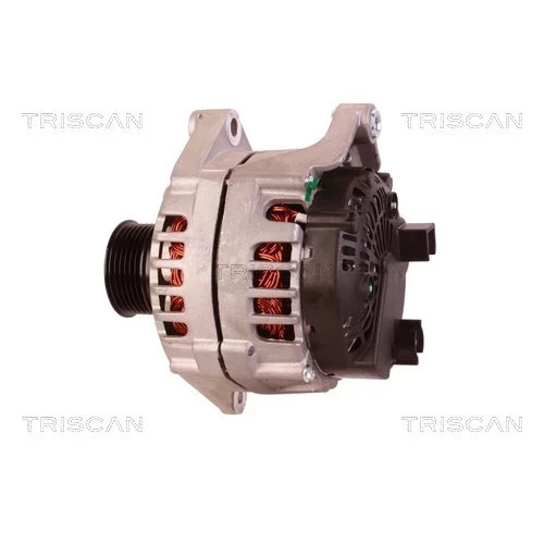Alternátor 8310 11015 /TRISCAN/ - obr. 7