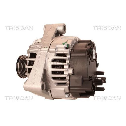 Alternátor 8310 11017 /TRISCAN/ - obr. 7