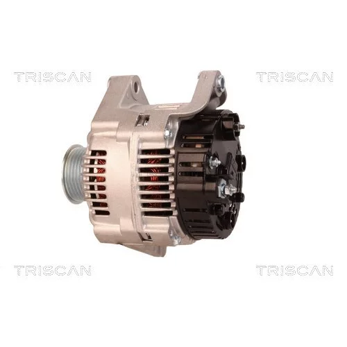 Alternátor 8310 11028 /TRISCAN/ - obr. 7