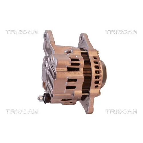 Alternátor 8310 11032 /TRISCAN/ - obr. 2
