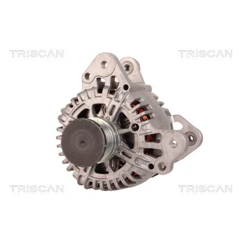 Alternátor 8310 11038 /TRISCAN/ - obr. 5