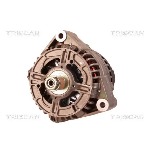 Alternátor 8310 13002 /TRISCAN/ - obr. 5
