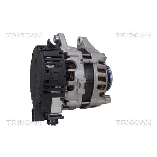 Alternátor 8310 13063 /TRISCAN/ - obr. 5