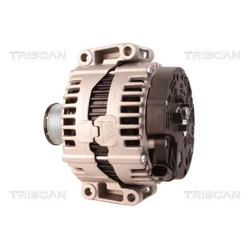 Alternátor 8310 15004 /TRISCAN/ - obr. 7