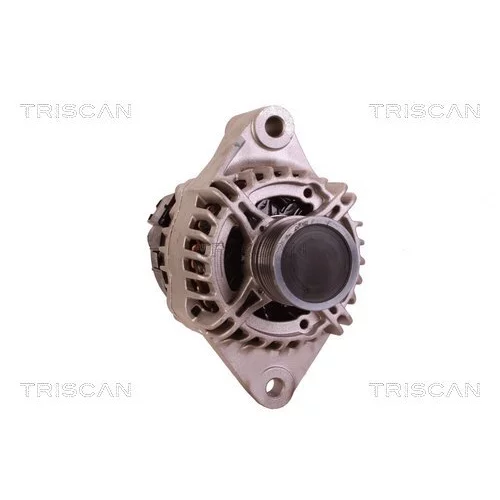 Alternátor 8310 15022 /TRISCAN/ - obr. 4