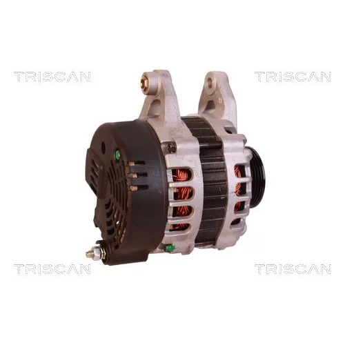 Alternátor 8310 16002 /TRISCAN/ - obr. 2