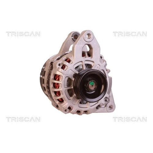 Alternátor 8310 16002 /TRISCAN/ - obr. 4