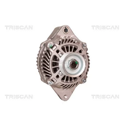 Alternátor 8310 16010 /TRISCAN/ - obr. 4