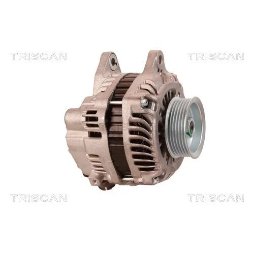 Alternátor 8310 16035 /TRISCAN/ - obr. 3