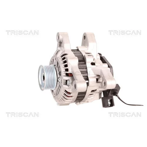 Alternátor 8310 17005 /TRISCAN/ - obr. 6