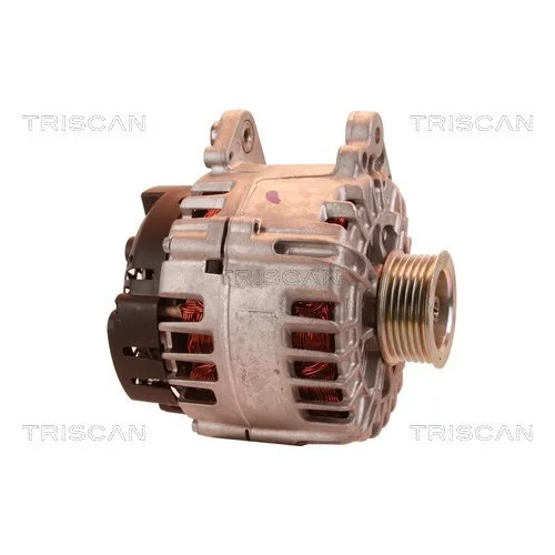 Alternátor 8310 23046 /TRISCAN/ - obr. 3
