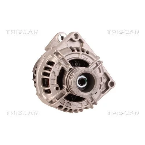 Alternátor 8310 23057 /TRISCAN/ - obr. 4