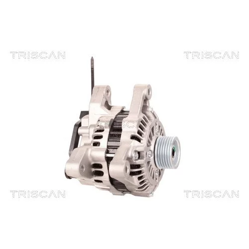 Alternátor 8310 24021 /TRISCAN/ - obr. 3