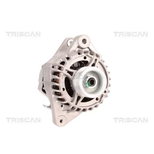 Alternátor 8310 25025 /TRISCAN/ - obr. 4
