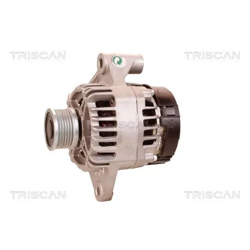 Alternátor 8310 25031 /TRISCAN/ - obr. 6