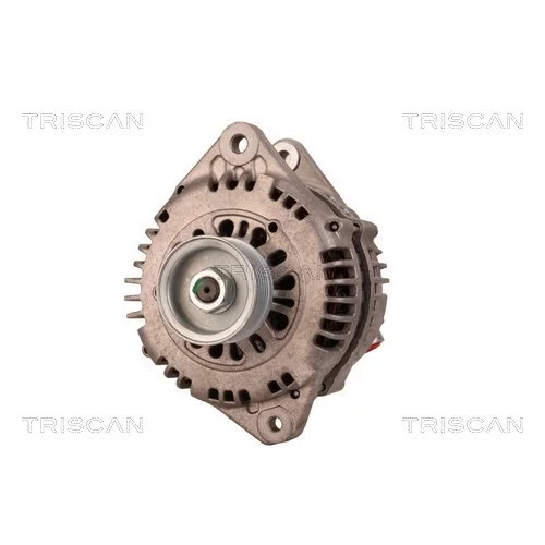 Alternátor 8310 28004 /TRISCAN/ - obr. 5
