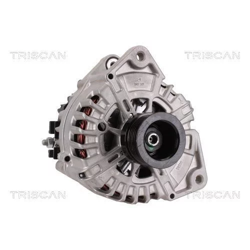 Alternátor 8310 29023 /TRISCAN/ - obr. 4