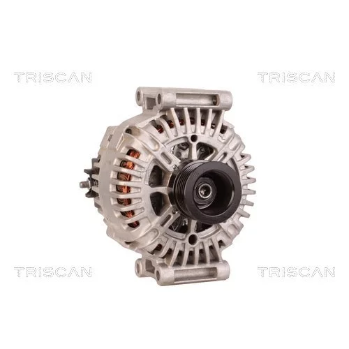 Alternátor 8310 29060 /TRISCAN/ - obr. 4