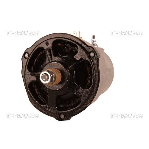 Alternátor TRISCAN 8310 29065