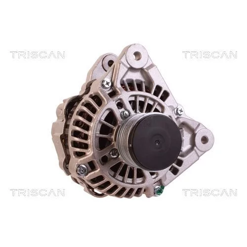 Alternátor 8310 29073 /TRISCAN/ - obr. 4