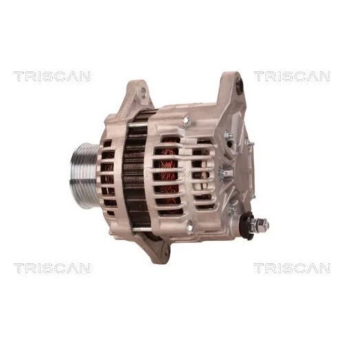 Alternátor 8310 29073 /TRISCAN/ - obr. 7
