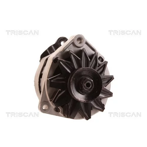 Alternátor 8310 43026 /TRISCAN/ - obr. 4