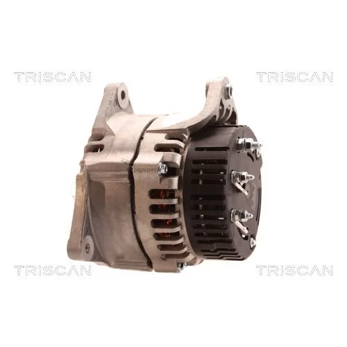 Alternátor 8310 43040 /TRISCAN/ - obr. 7