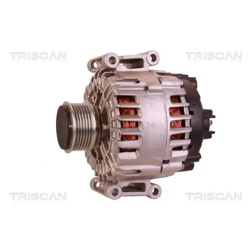 Alternátor 8310 43043 /TRISCAN/ - obr. 6
