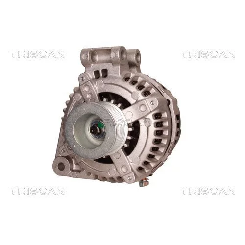 Alternátor 8310 68008 /TRISCAN/ - obr. 5