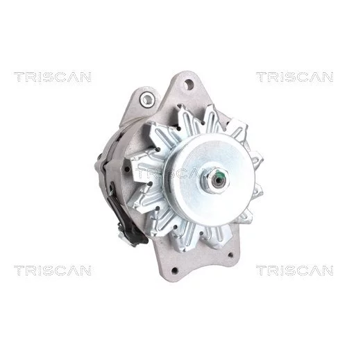 Alternátor 8310 69002 /TRISCAN/ - obr. 7