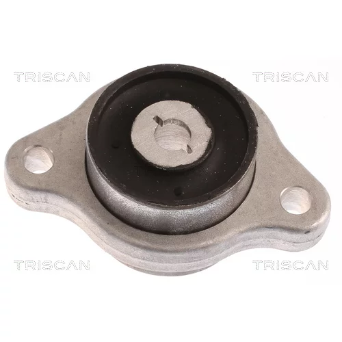 Uloženie riadenia 8500 23888 /TRISCAN/
