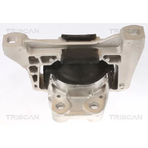 Uloženie motora 8505 10100 /TRISCAN/ - obr. 1