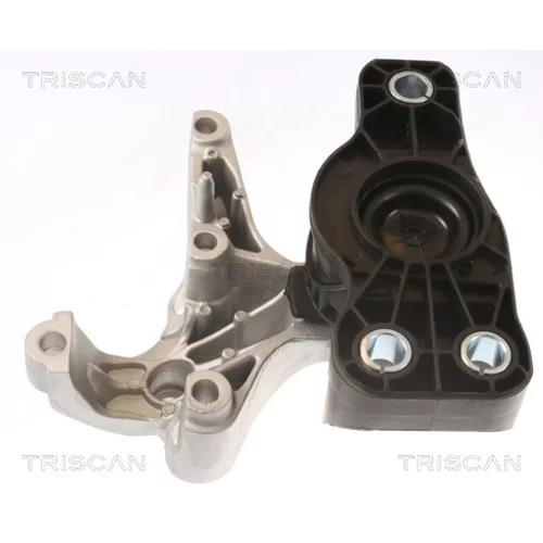 Uloženie motora 8505 25121 /TRISCAN/ - obr. 1