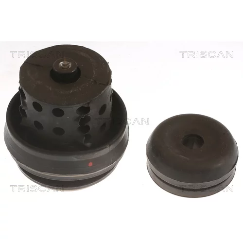 Uloženie motora TRISCAN 8505 29118