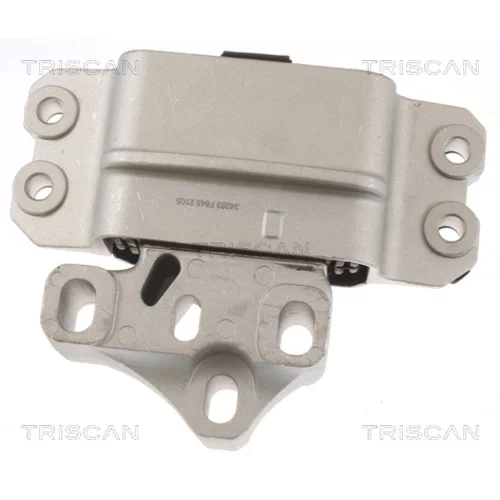 Uloženie motora 8505 29159 /TRISCAN/ - obr. 1