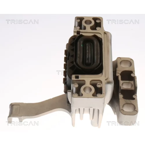 Uloženie motora 8505 29173 /TRISCAN/ - obr. 1