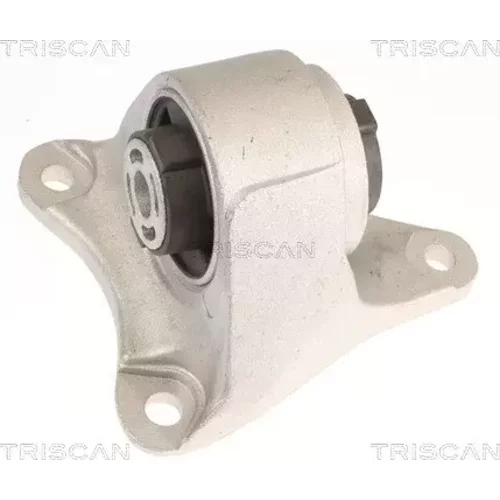 Uloženie motora TRISCAN 8505 81105