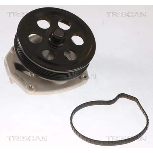 Vodné čerpadlo, chladenie motora 8600 10087 /TRISCAN/ - obr. 1