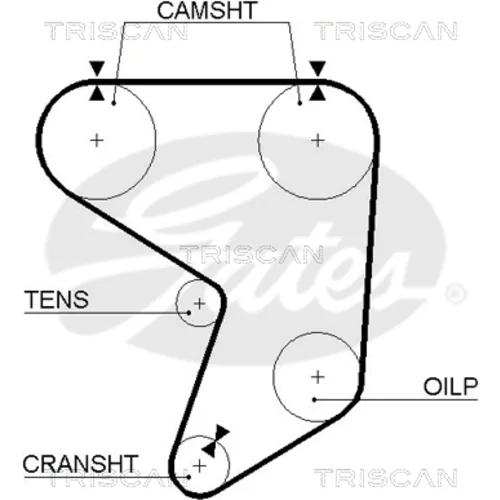 Ozubený remeň TRISCAN 8645 5195xs