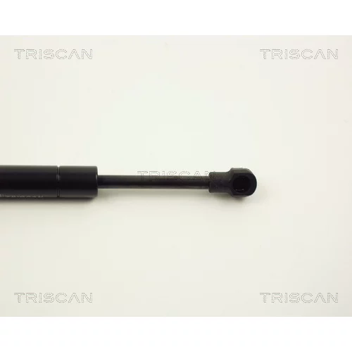 Pneumatická pružina, Batožinový/nákladný priestor 8710 11219 /TRISCAN/ - obr. 2