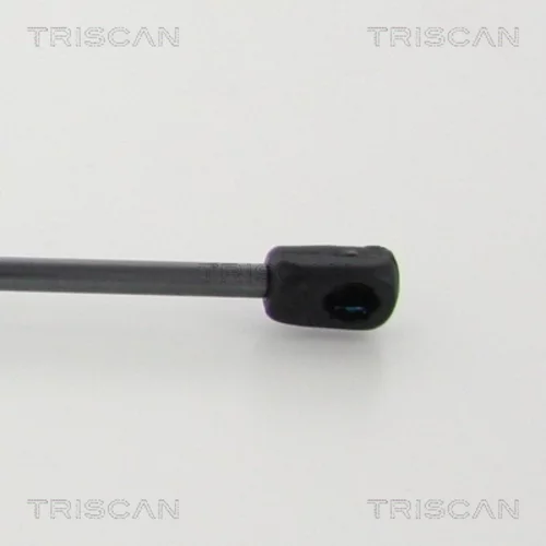 Pneumatická pružina, Batožinový/nákladný priestor 8710 23245 /TRISCAN/ - obr. 1
