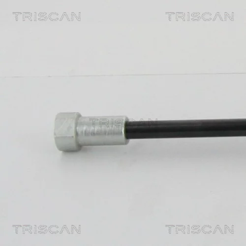 Pneumatická pružina, Batožinový/nákladný priestor 8710 28293 /TRISCAN/ - obr. 1